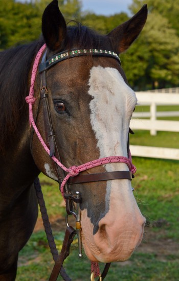 C2-Tilly.image_-350x550